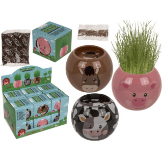 Zālesgalva — lauksaimniecības dzīvnieks Zālesgalva — lauksaimniecības dzīvnieks