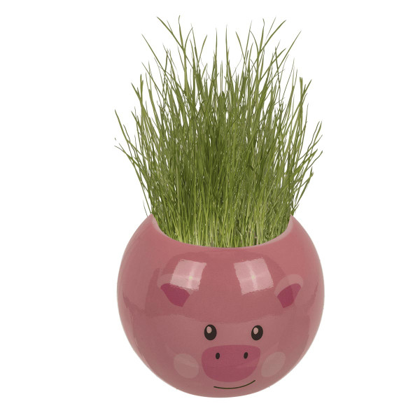 Zālesgalva — lauksaimniecības dzīvnieks