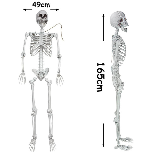 XXL Dekorācija "Skelets" (165cm)