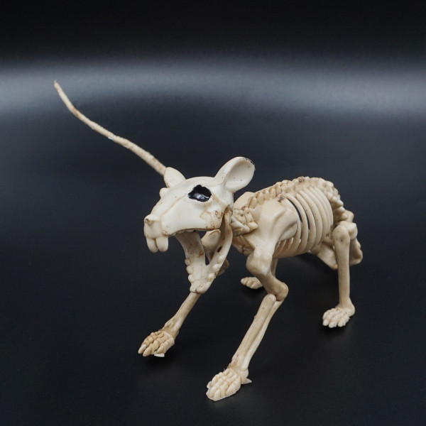 Helovīna figūriņa "Žurkas skelets"