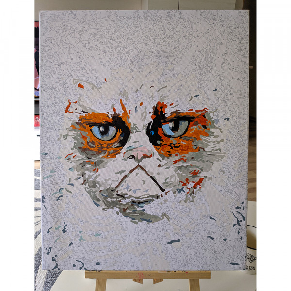Gleznošanas komplekts pēc numuriem "Angry cat" (40x50cm) 