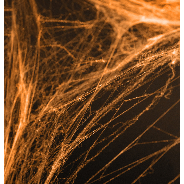 Mākslīgais zirnekļu tīkls ar zirnekļiem (oranžs), 60g.