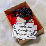 Automašīnas atsvaidzinātājs "Labākā skolotāja pasaulē"
