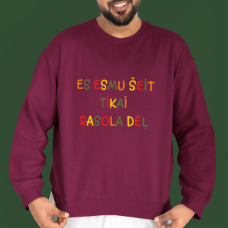 Džemperis "Es esmu šeit tikai rasola dēļ" (bez kapuces) Džemperis "Es esmu šeit tikai rasola dēļ" (bez kapuces)