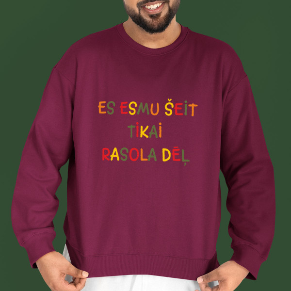 Džemperis "Es esmu šeit tikai rasola dēļ" (bez kapuces)