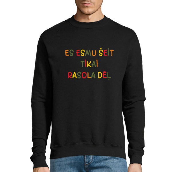 Džemperis "Es esmu šeit tikai rasola dēļ" (bez kapuces)