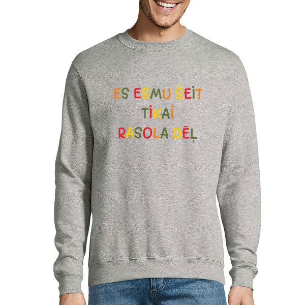 Džemperis "Es esmu šeit tikai rasola dēļ" (bez kapuces)