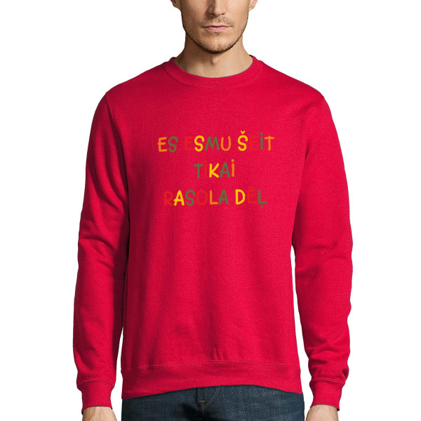 Džemperis "Es esmu šeit tikai rasola dēļ" (bez kapuces)