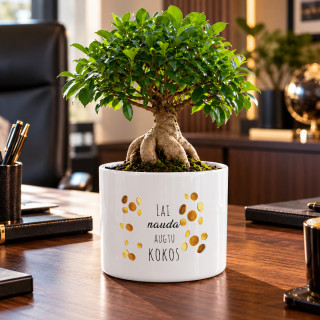 Keramikas pods "Lai nauda augtu kokos"