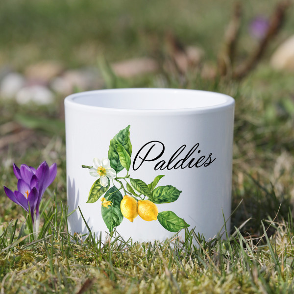 Keramikas puķu pods "Paldies" Keramikas puķu pods "Paldies"